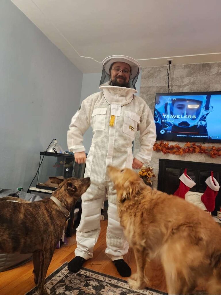 Judah in his bee suit being investigated by his two dogs.